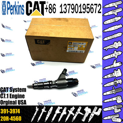 C-aterpillar Excavator Common Rail Fuel Injector 0445120348 20R-4560 391-3974 for C-AT car