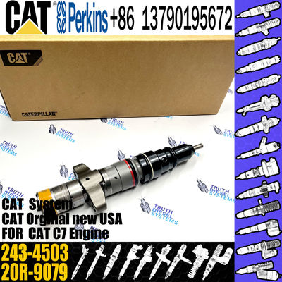 C7 Common Rail Injector 243-4502  20R-9079 2OR-8071 20R-8066  295-9166 For CAT engine