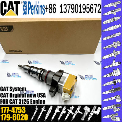 Fuel Injector 171-9704 10R-1306 10R-1257 229-8842 178-6342 178-6343 177-4752 177-4753 For Engine Caterpillar 3126B