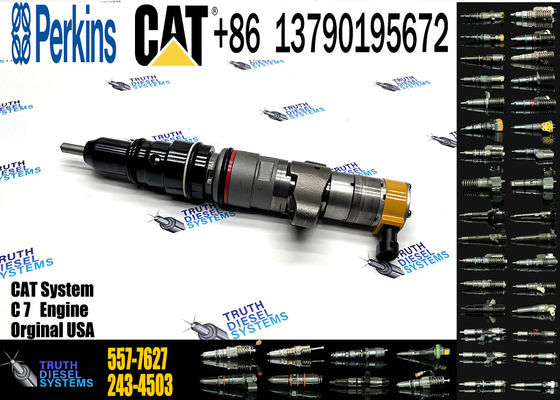 Fuel Injector  268-1840 268-1836 269-1839 293-4072 241-3239 238-8091 10R-7225 20R-8066 557-7627