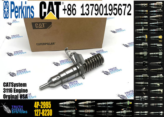 Fuel Injector 162-0212 162-0218 418-8820 0R-8461 0R-8469 0R-8465 0R-3742 0R-8463  4P-2995 For CAT  3 116