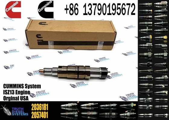 2086663 Nozzle Injector DC13 DC16 Injector 2872544 2036181 2872544 2057401 2872405 2438101 2488244