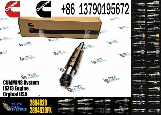 DSGENUINE 5579415 5579417 2894920 2872405 ISX15 CRI D10 ISX XPI diesel Engine Fuel Injector 5579415 5579417 2894920 2872405