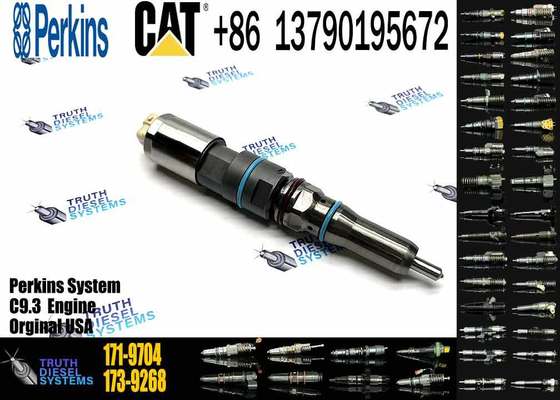 New Fuel Injector 171-9704 1719704 20R-5075 3861809 386-1809 382-0709 4563493 456-3493 for Caterpillar Caterpillar C9.3 D6T D7E