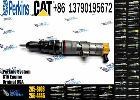 C9 HEUI Injector 258-8745 Diesel Fuel Injector 265-8106 293-4074 for Caterpillar Excavator C9 Engine Parts
