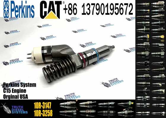 C13 Injector 10r-3147 249-0712 249-0713 2490712 for Fuel Injector