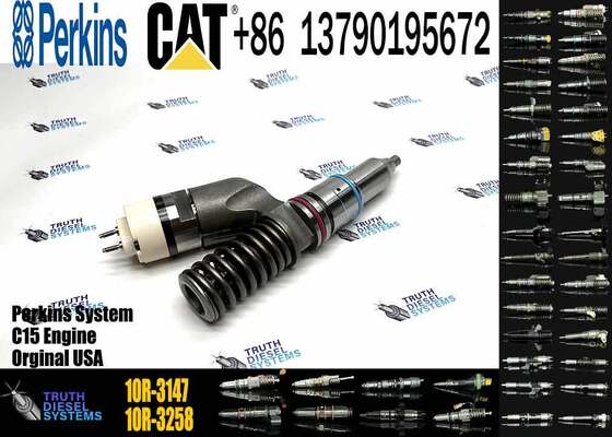 C13 Injector 10r-3147 249-0712 249-0713 2490712 for Fuel Injector