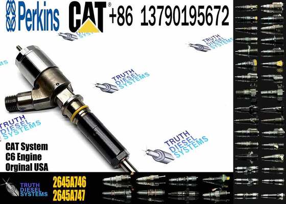 2645A738 2645A745 2645A746 320-0677 Diesel Excavator Injection Valve Brand New and Customizable for C6.6 Engine