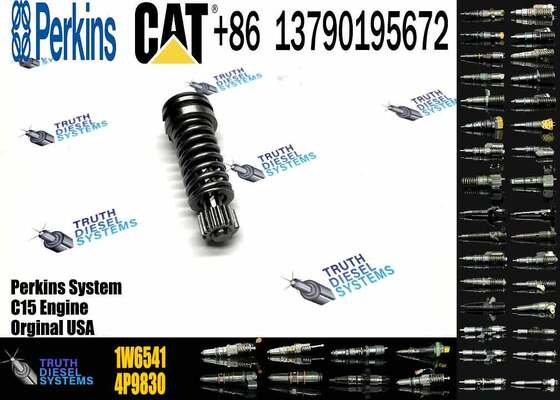 Construction Machinery Parts Fuel Injection Pump Plunger 4P9830 1W6541 7W5929 for Cat Engine 3304 3306 Plunger