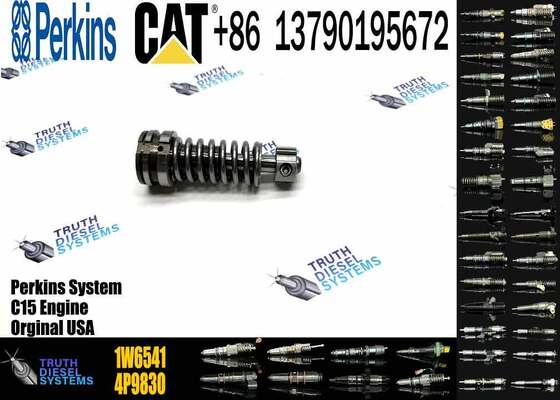 Construction Machinery Parts Fuel Injection Pump Plunger 4P9830 1W6541 7W5929 for Cat Engine 3304 3306 Plunger