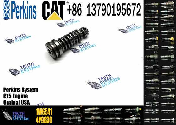 Construction Machinery Parts Fuel Injection Pump Plunger 4P9830 1W6541 7W5929 for Cat Engine 3304 3306 Plunger