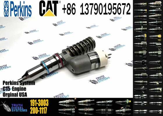 Hot Sale 191-3003 Common Rail Injector C15 diesel Injector for Fuel Injection Pump for CAT diesel Engine