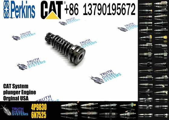 Excavator Plunger 4P-9830 CAT 3306B 3306 Diesel Fuel Injection Pump Element Plunger 4P9830 1W6541