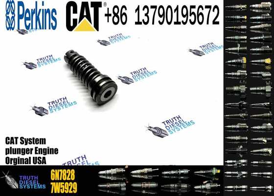 High Quality Fuel Injection Pump Plunger 9H5797 1W6541 7W5929 6N7828 7W6929 HRCA4P9830 for Excavator